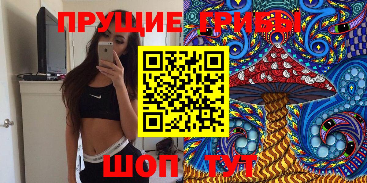 Псилоцибиновые грибы Psilocybe Чистополь